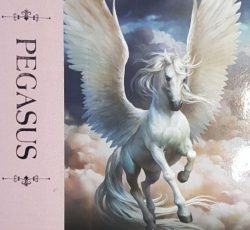 آلبوم کاغذ دیواری پگاسوس Pegasus