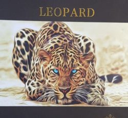 آلبوم کاغذ دیواری لئوپارد LEOPARD