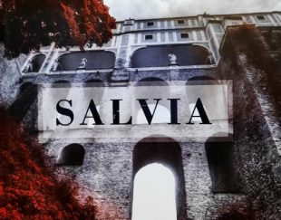 آلبوم کاغذ دیواری سالویا SALVIA